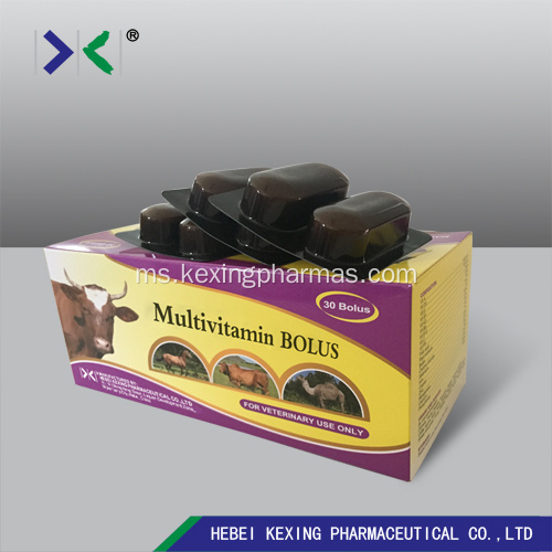 Binatang Multivitamin Tablet 3g